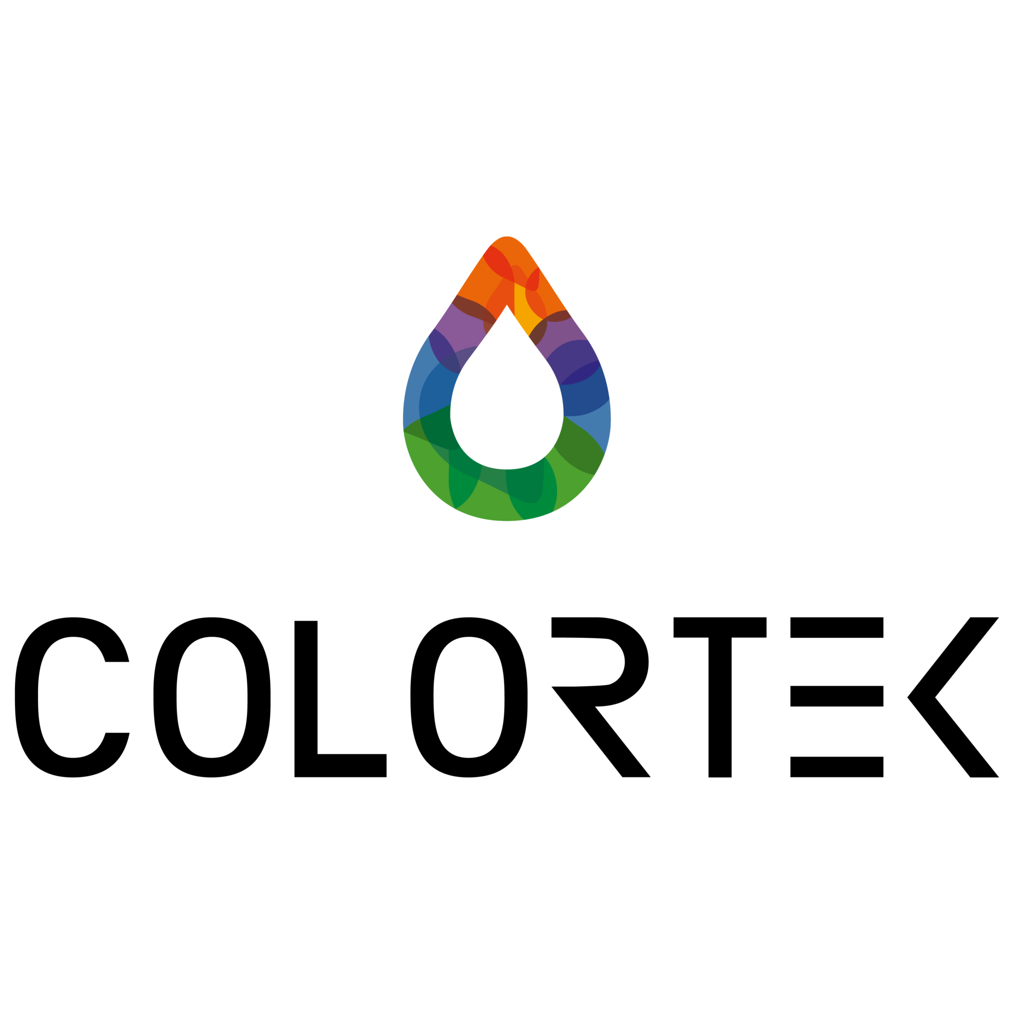 Logo Colortek